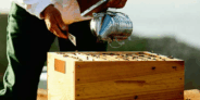 Venez découvrir la boutique des producteurs !