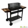 Barbecue charbon