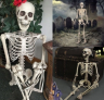 Squelette Du Corps Humain Halloween