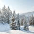 Black Friday est aussi chez Ski-Planet